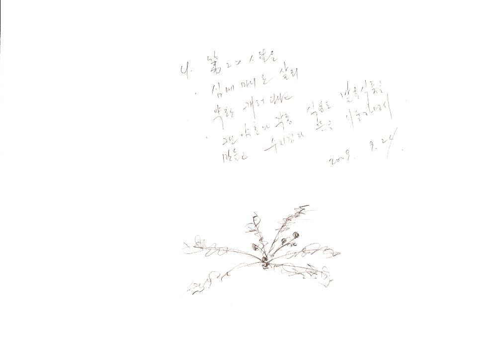 2009년 9월 3일부터 2001년 2월 16일까지 작성한 김용익 메모