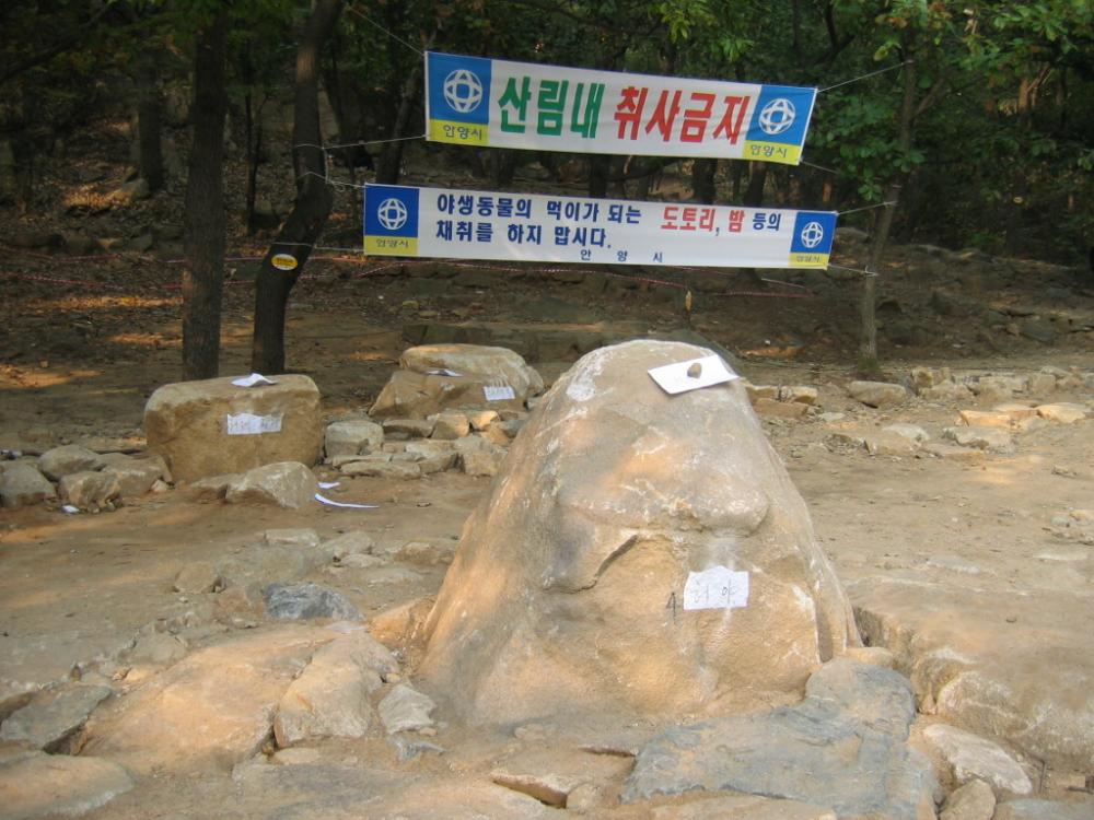 2005년 6월 15일 〈만고강산 유람할 제〉 관련 사진