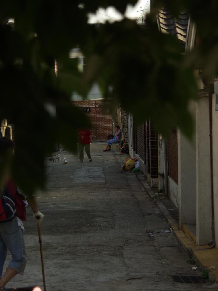 2003년 8월 25일 불광5구역