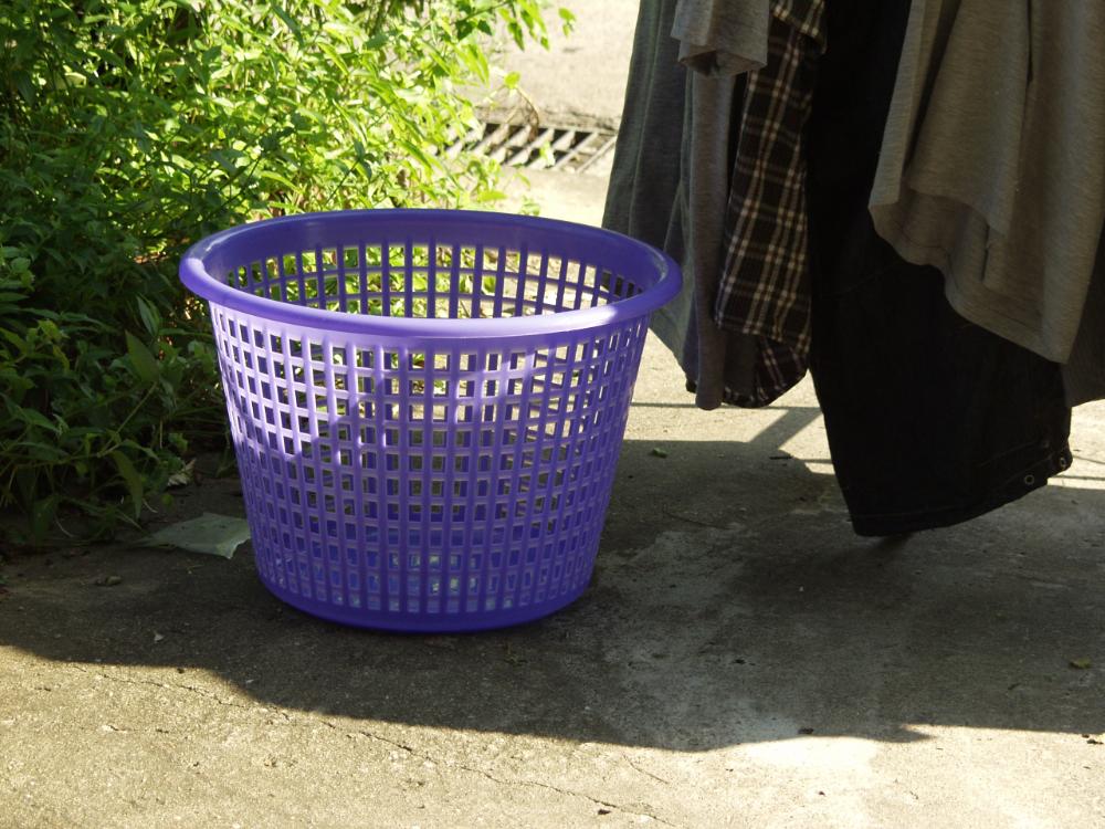 2003년 8월 25일 불광5구역