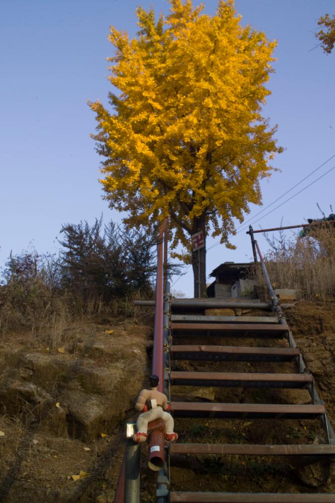 2005년 11월 7일 불광3구역 독박골-수련자