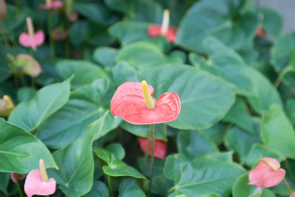 2006년 1월 30일 불광3구역