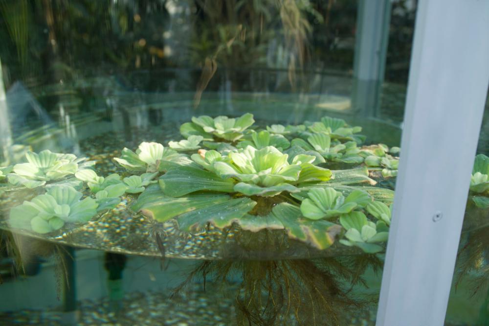 2006년 1월 30일 불광3구역