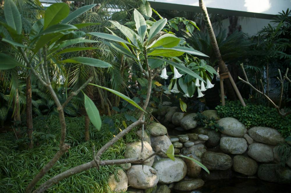 2006년 1월 30일 불광3구역