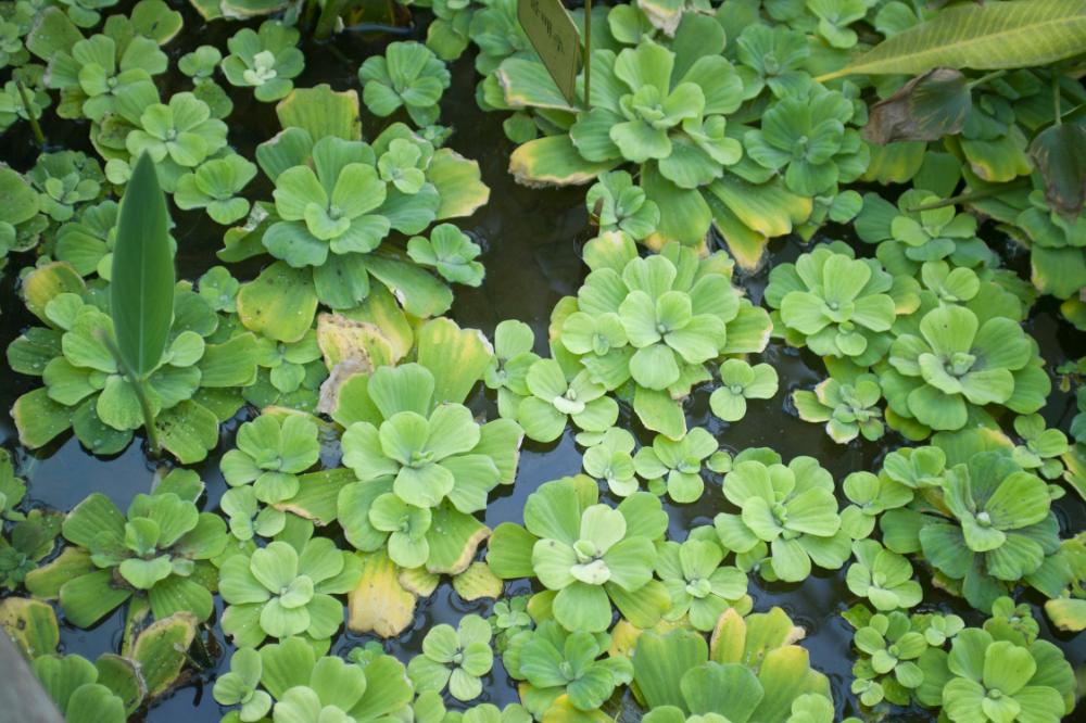 2006년 1월 30일 불광3구역