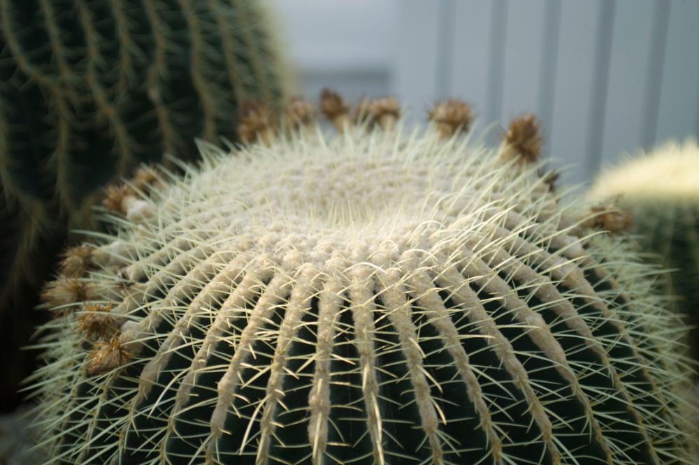 2006년 1월 30일 불광3구역