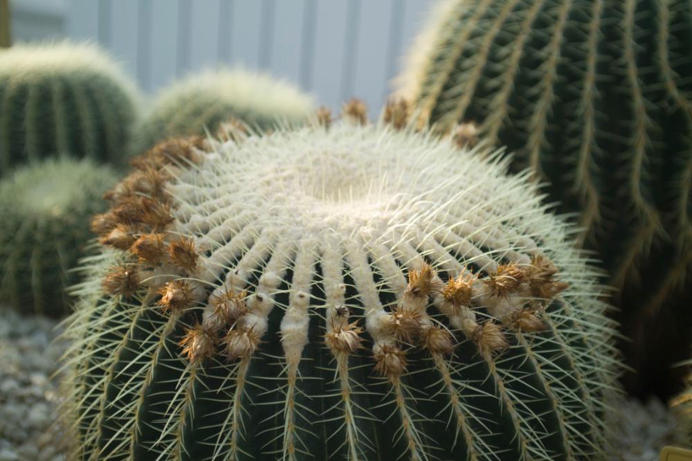 2006년 1월 30일 불광3구역