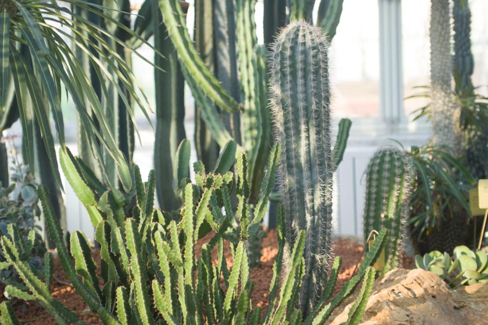 2006년 1월 30일 불광3구역