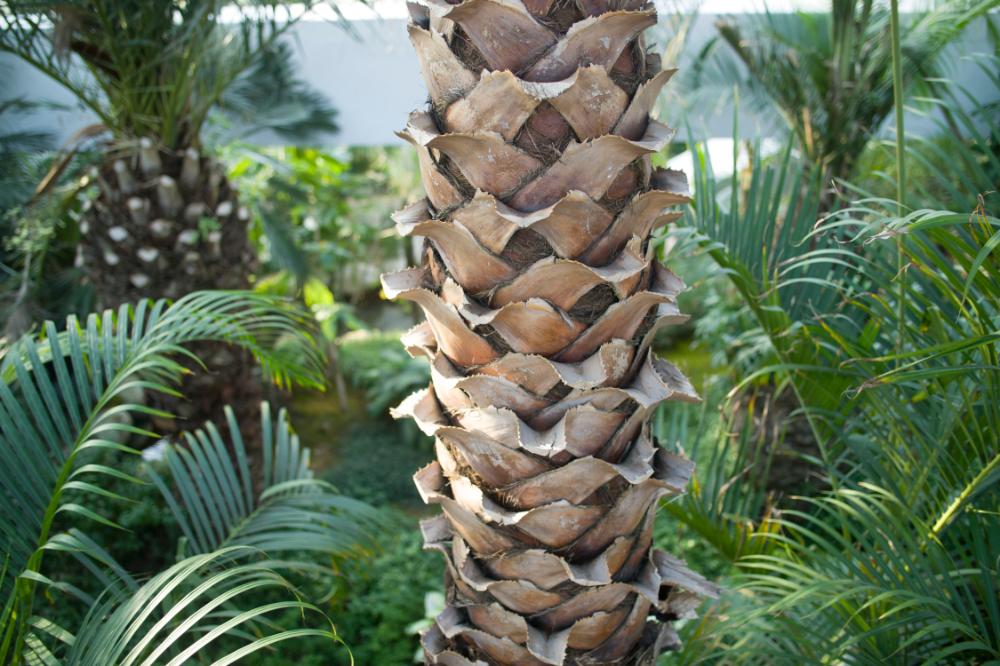 2006년 1월 30일 불광3구역