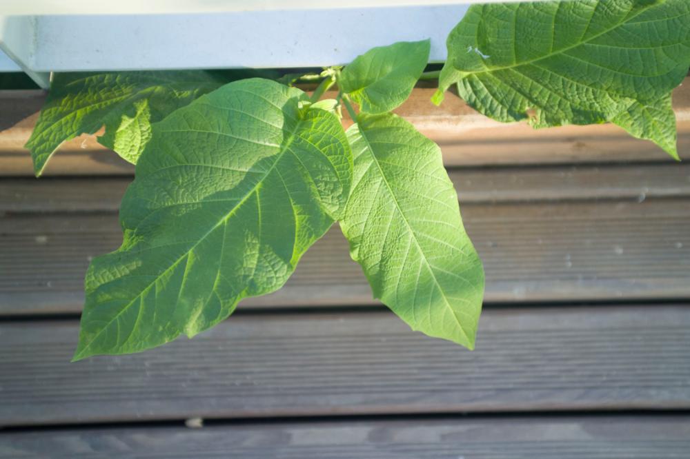 2006년 1월 30일 불광3구역