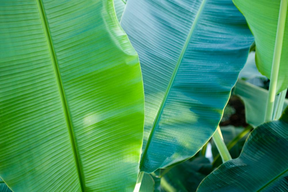 2006년 1월 30일 불광3구역