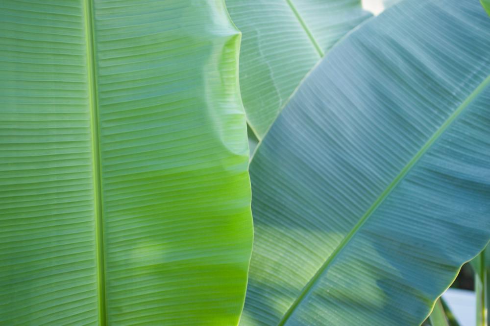 2006년 1월 30일 불광3구역