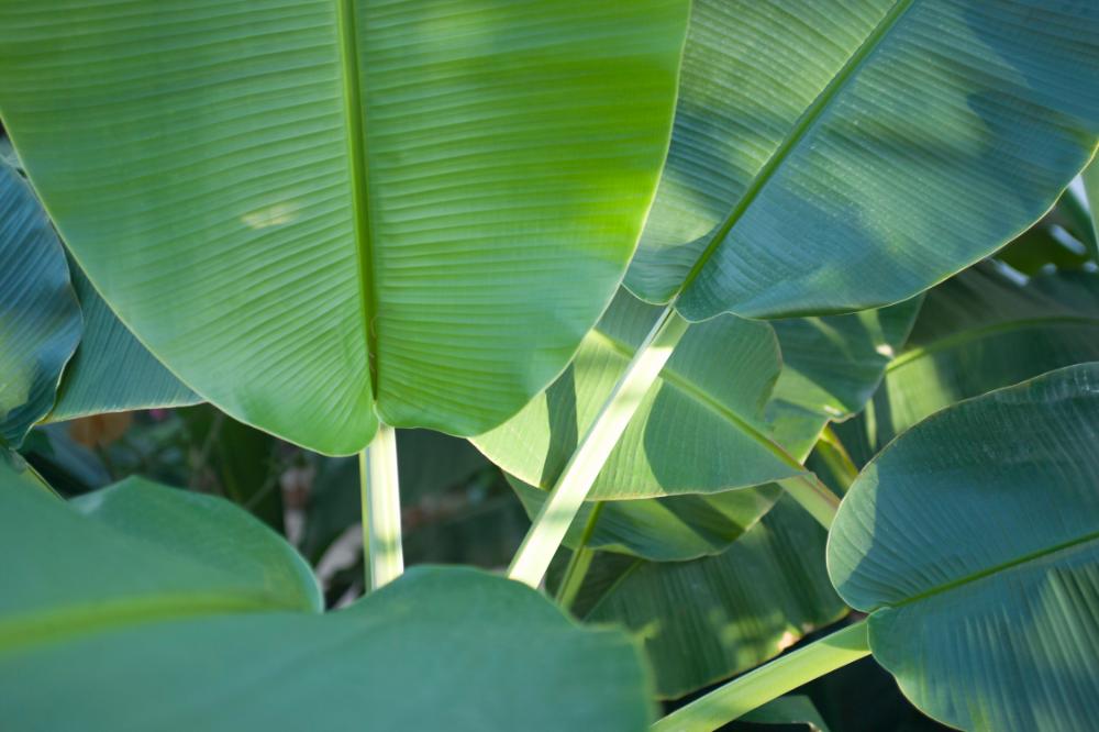 2006년 1월 30일 불광3구역