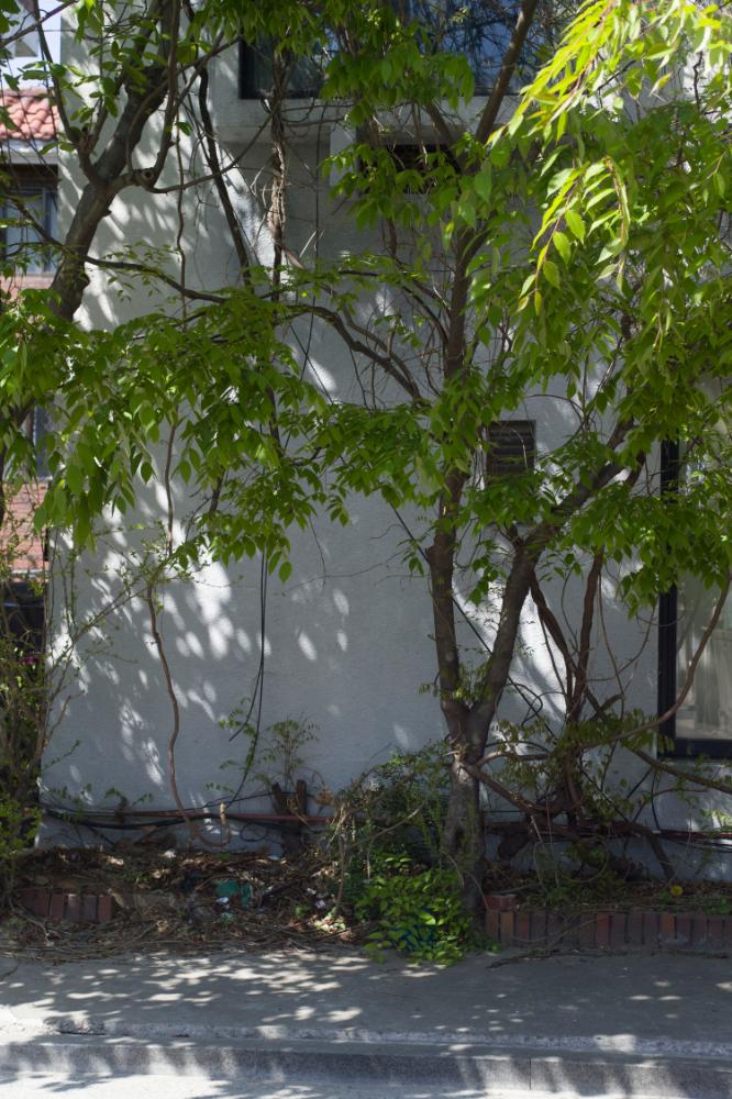 2007년 4월 27일~29일 불광5구역 5