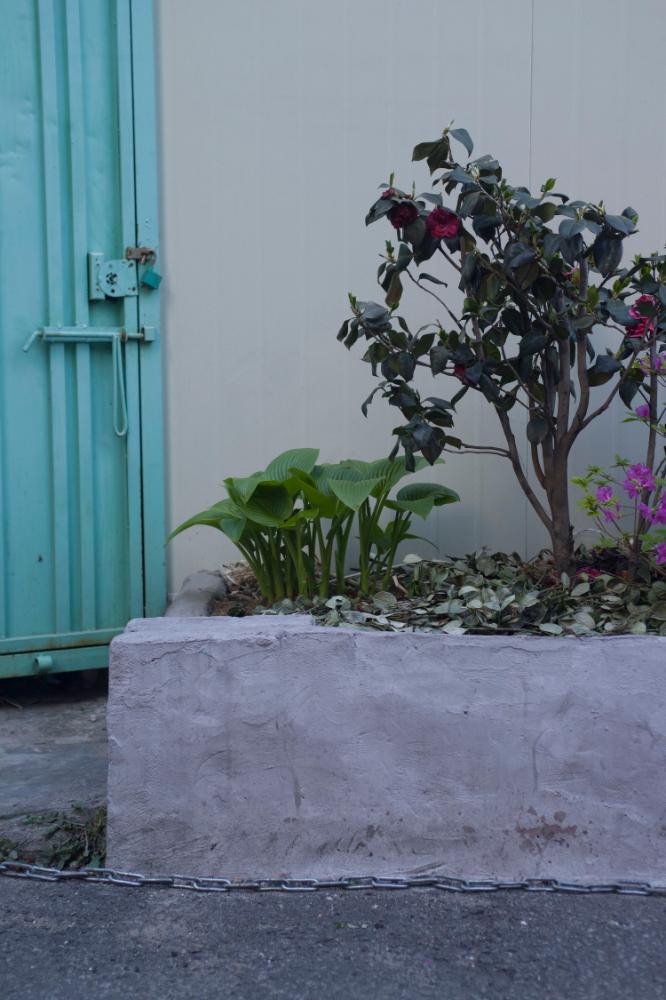 2007년 4월 27일~29일 불광5구역