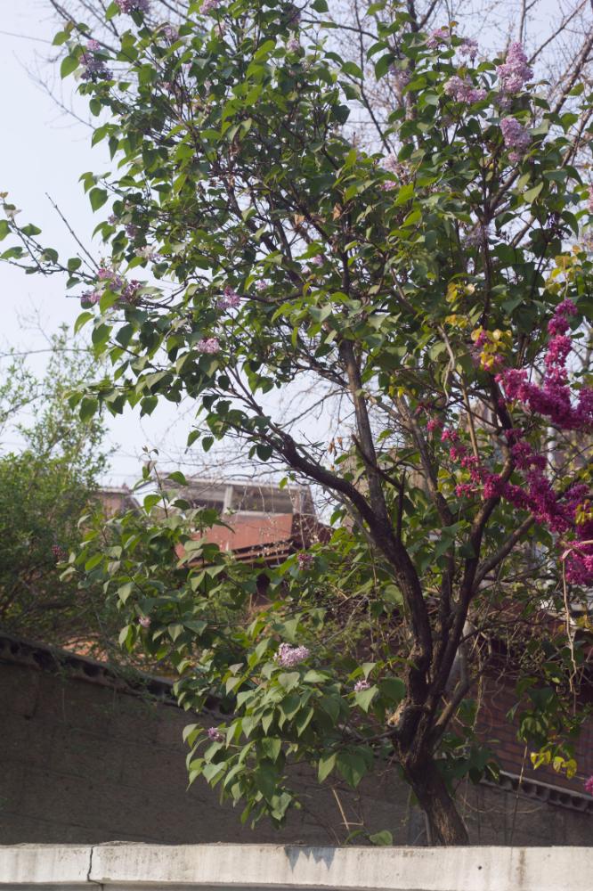 2007년 4월 27일~29일 불광5구역