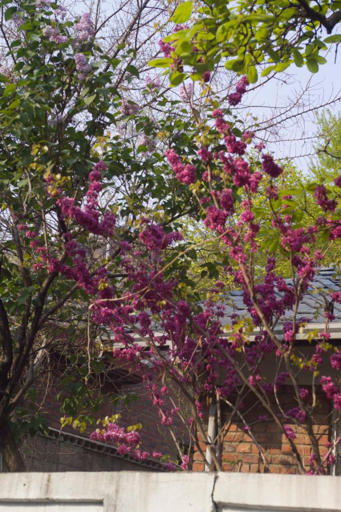 2007년 4월 27일~29일 불광5구역