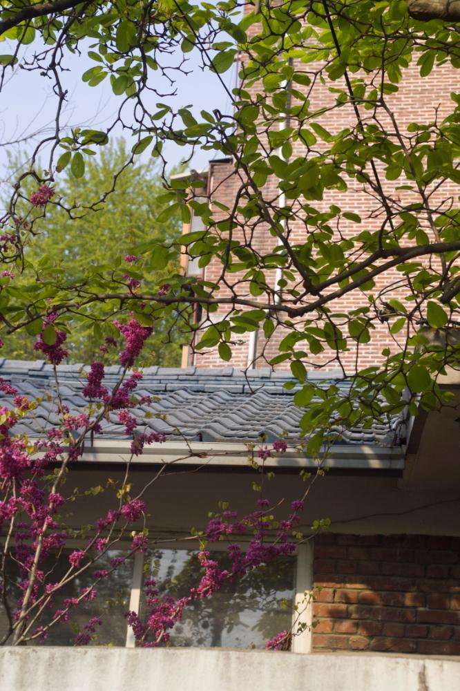 2007년 4월 27일~29일 불광5구역