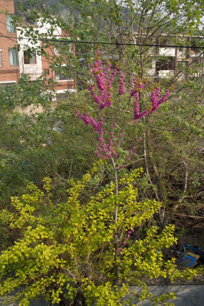 2007년 4월 27일~29일 불광5구역