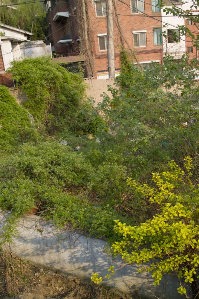 2007년 4월 27일~29일 불광5구역