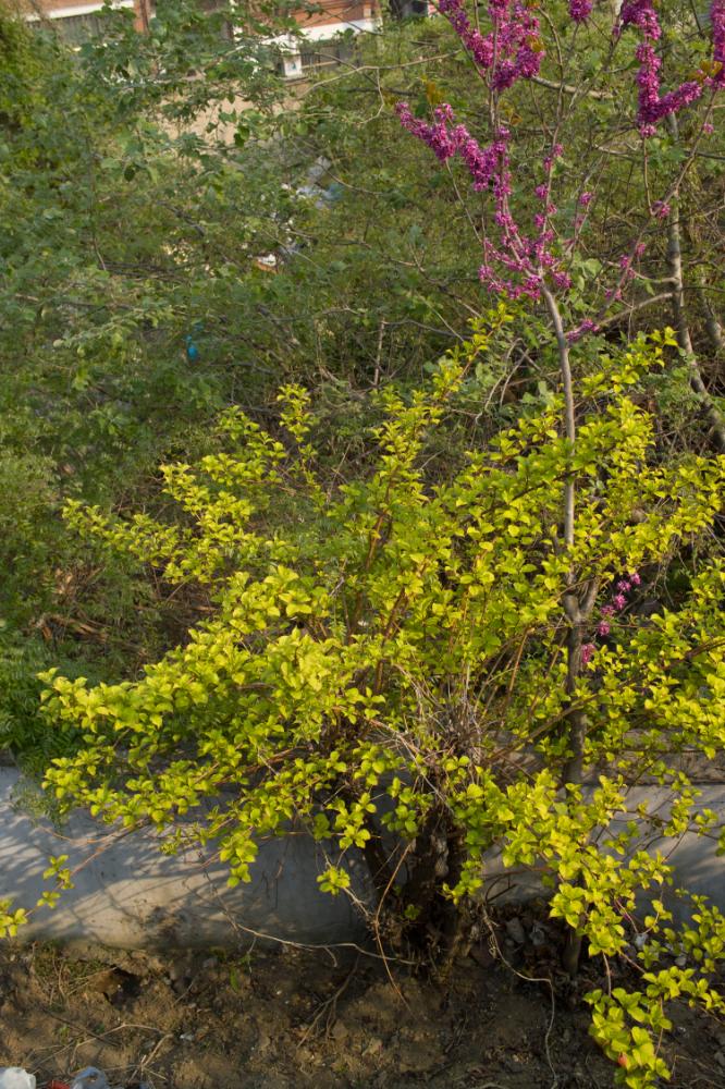 2007년 4월 27일~29일 불광5구역