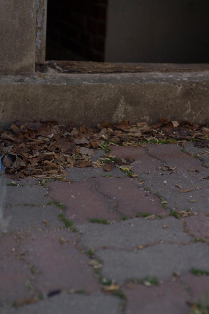 2007년 4월 27일~29일 불광5구역