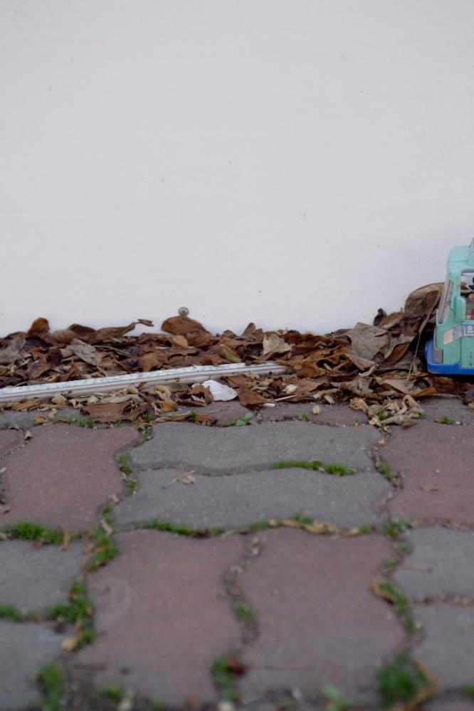 2007년 4월 27일~29일 불광5구역