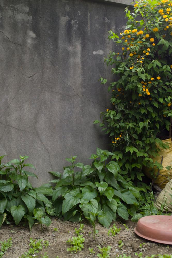 2007년 4월 27일~29일 불광5구역