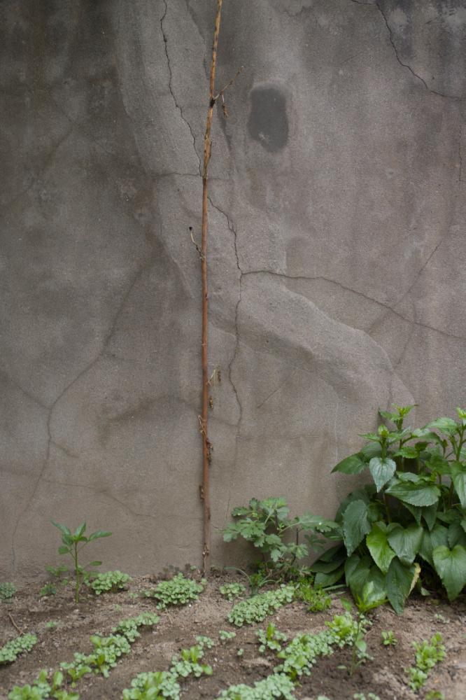 2007년 4월 27일~29일 불광5구역