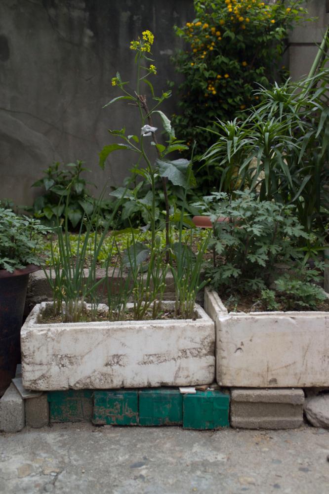 2007년 4월 27일~29일 불광5구역