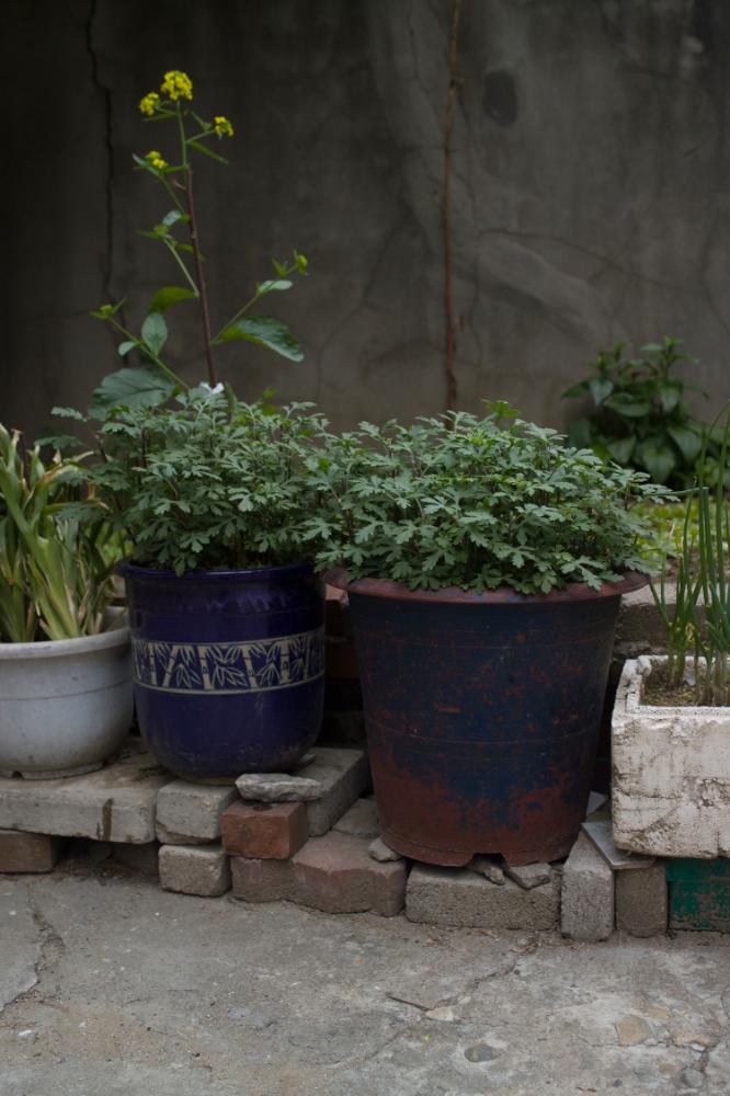 2007년 4월 27일~29일 불광5구역