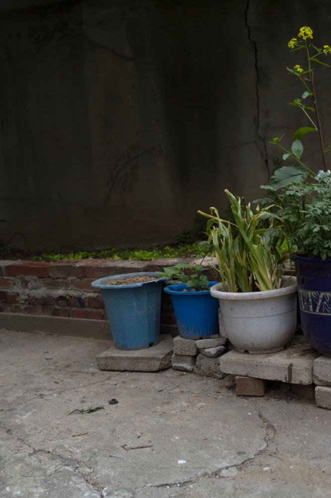 2007년 4월 27일~29일 불광5구역