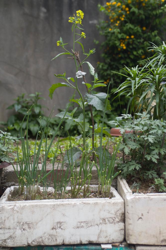 2007년 4월 27일~29일 불광5구역