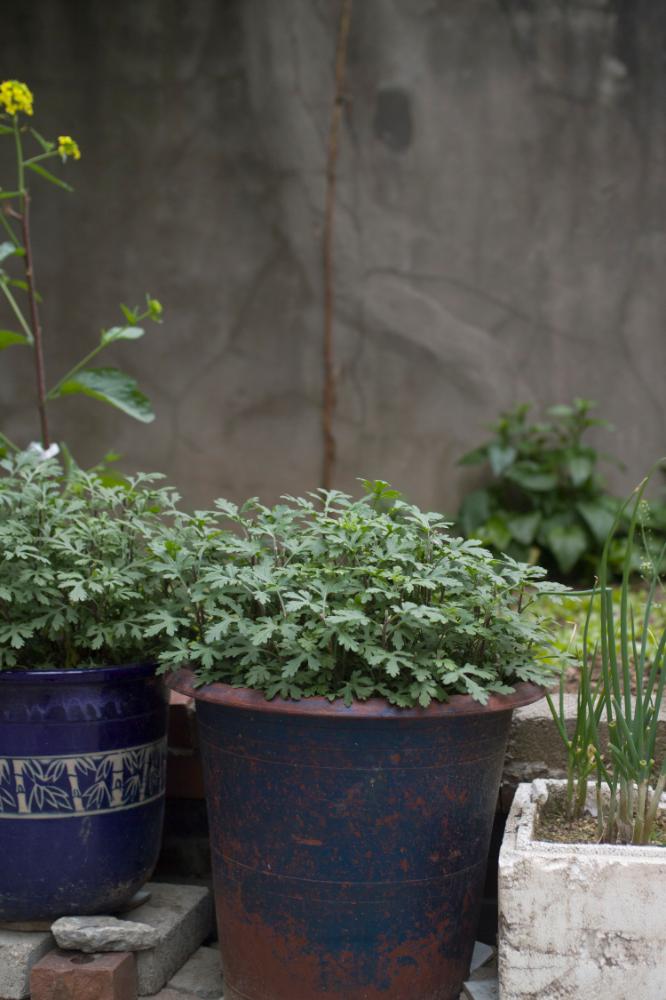 2007년 4월 27일~29일 불광5구역