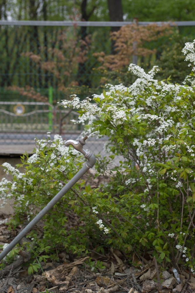 2007년 4월 27일~29일 불광5구역