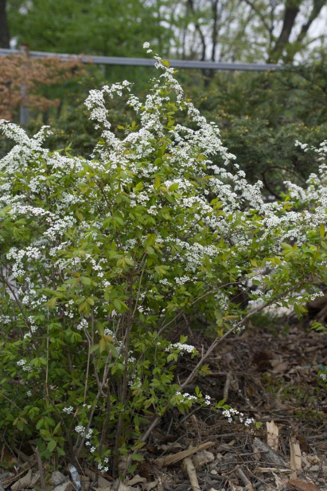 2007년 4월 27일~29일 불광5구역