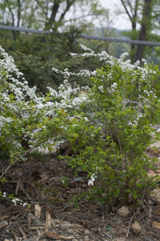 2007년 4월 27일~29일 불광5구역