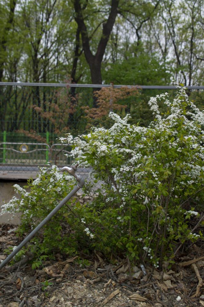 2007년 4월 27일~29일 불광5구역