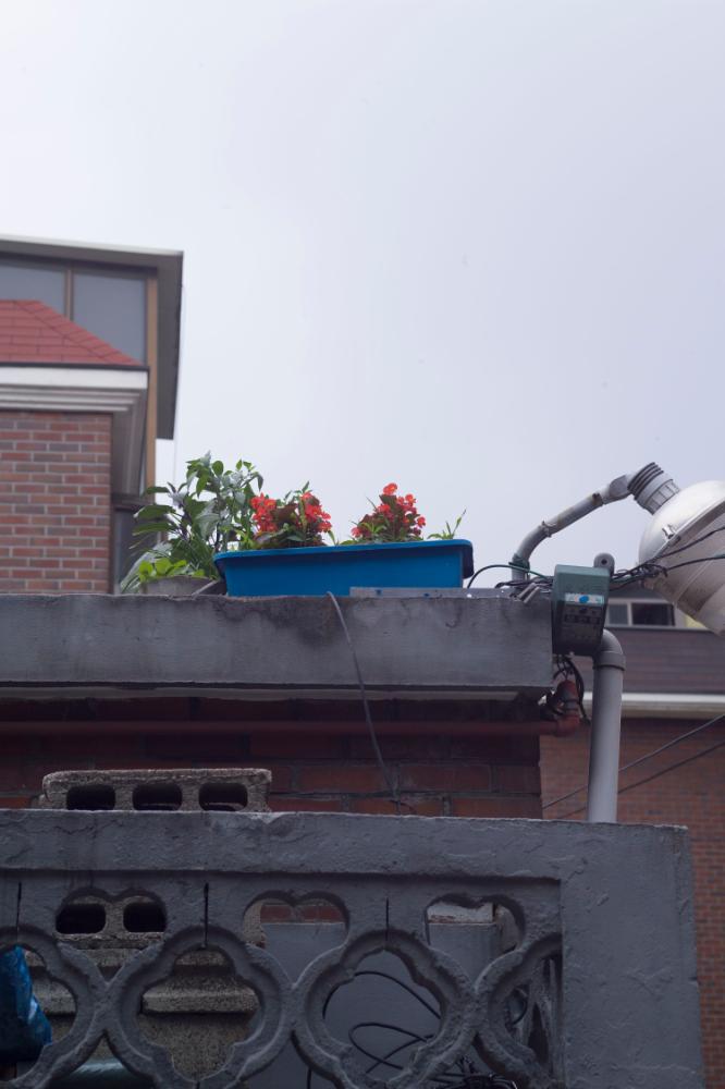 2007년 4월 27일~29일 불광5구역