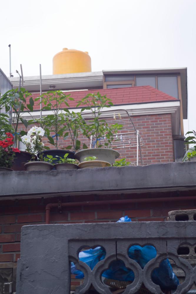 2007년 4월 27일~29일 불광5구역