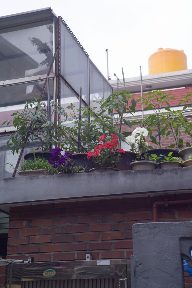 2007년 4월 27일~29일 불광5구역