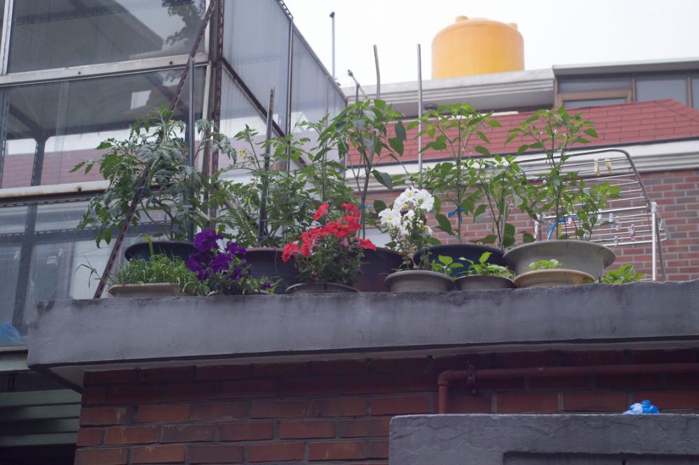 2007년 4월 27일~29일 불광5구역