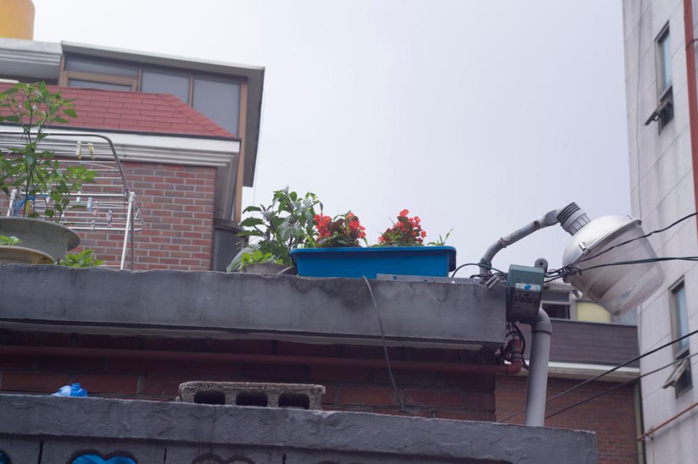 2007년 4월 27일~29일 불광5구역