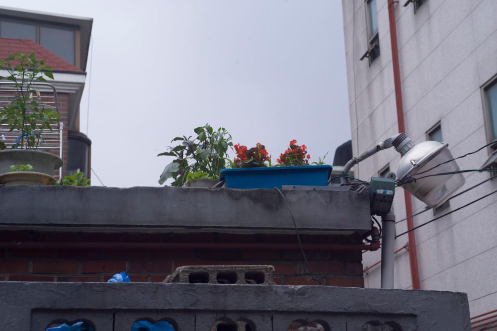 2007년 4월 27일~29일 불광5구역