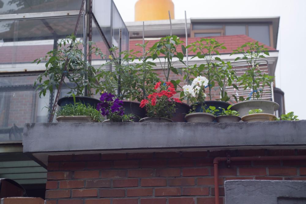 2007년 4월 27일~29일 불광5구역