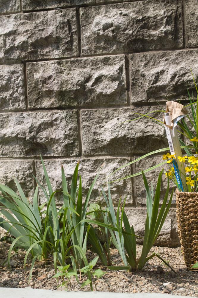 2007년 4월 27일~29일 불광5구역