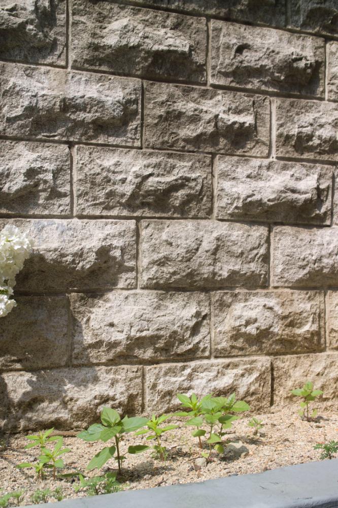 2007년 4월 27일~29일 불광5구역