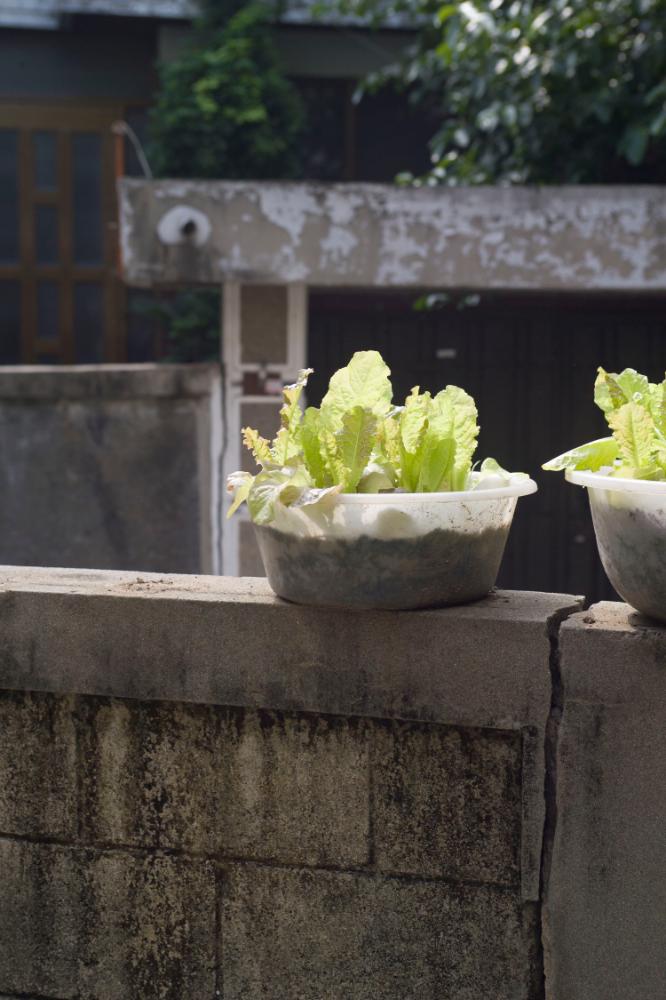 2007년 4월 27일~29일 불광5구역