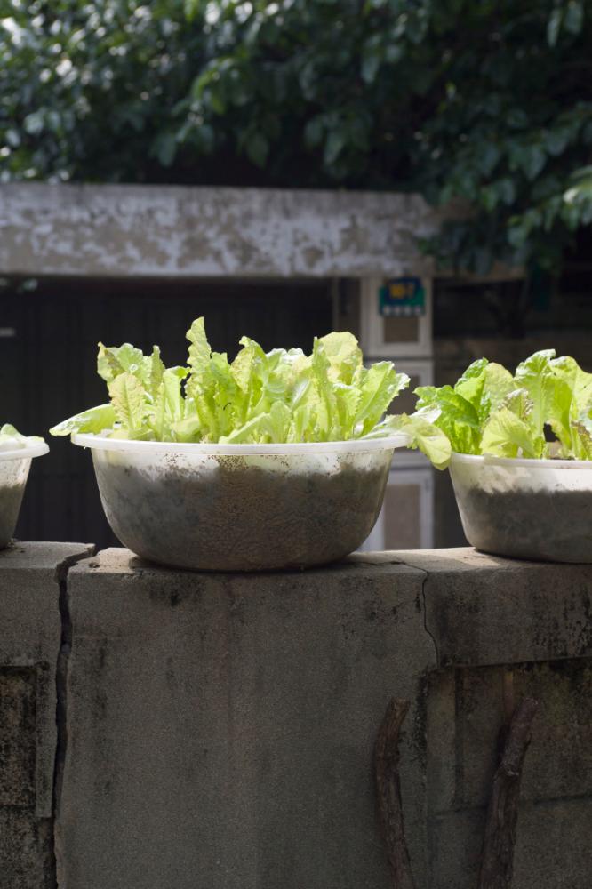 2007년 4월 27일~29일 불광5구역