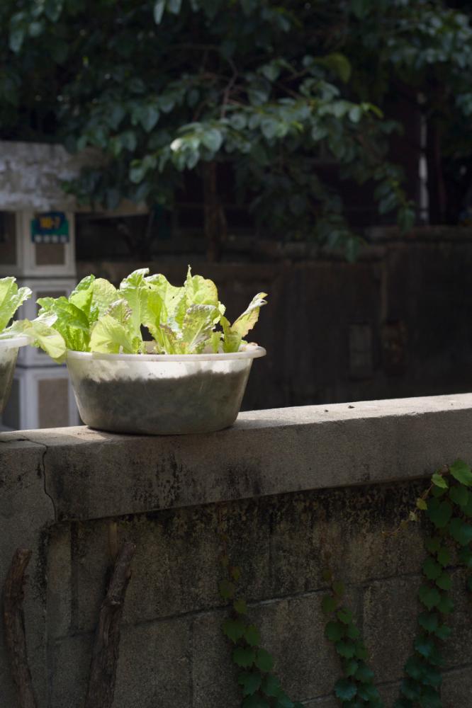 2007년 4월 27일~29일 불광5구역